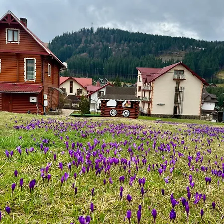 U Halyny Sunrise Bukovel
